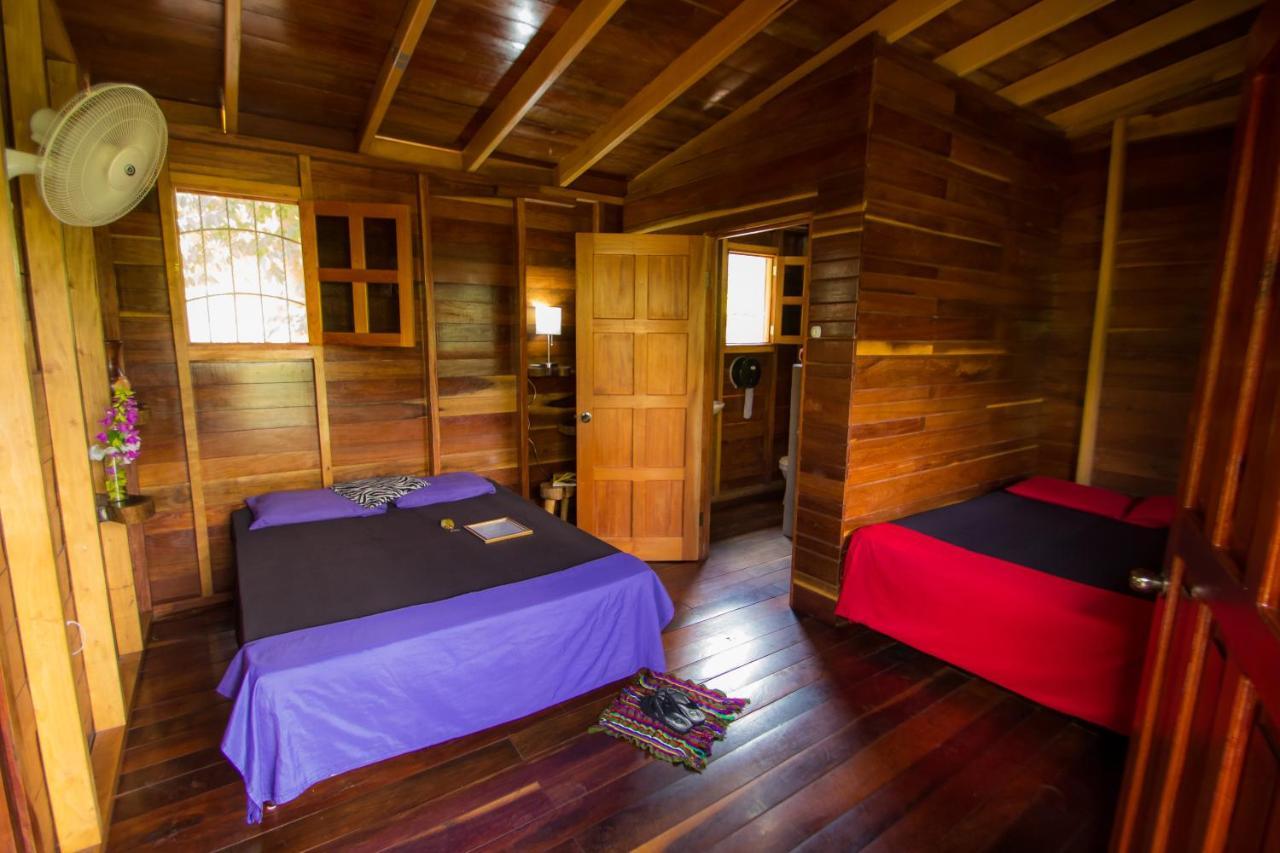 Alice Guesthouse 埃尔莱马特 外观 照片