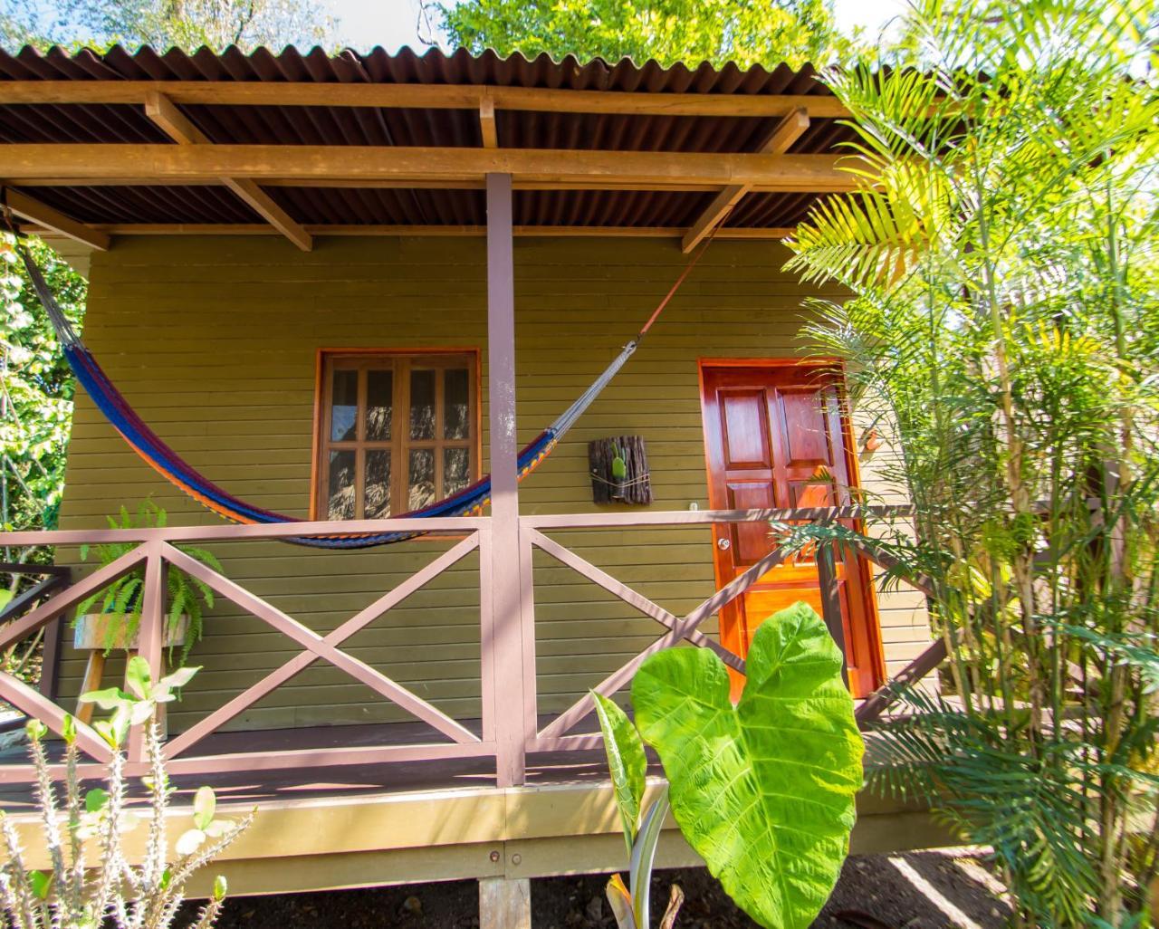 Alice Guesthouse 埃尔莱马特 外观 照片