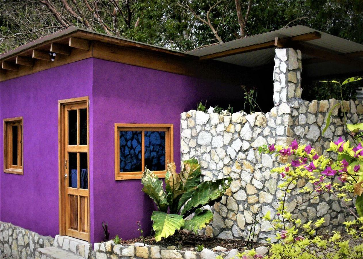 Alice Guesthouse 埃尔莱马特 外观 照片